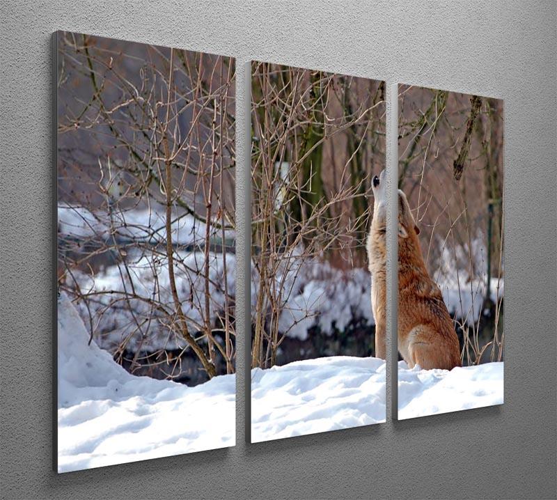 Howling wolf in winter scenery 3 Split Panel Canvas Print - Canvas Art Rocks - 2