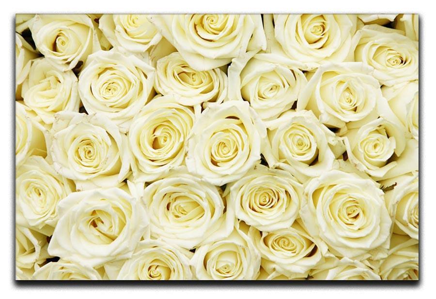 Huge bouquet of white roses Canvas Print or Poster  - Canvas Art Rocks - 1