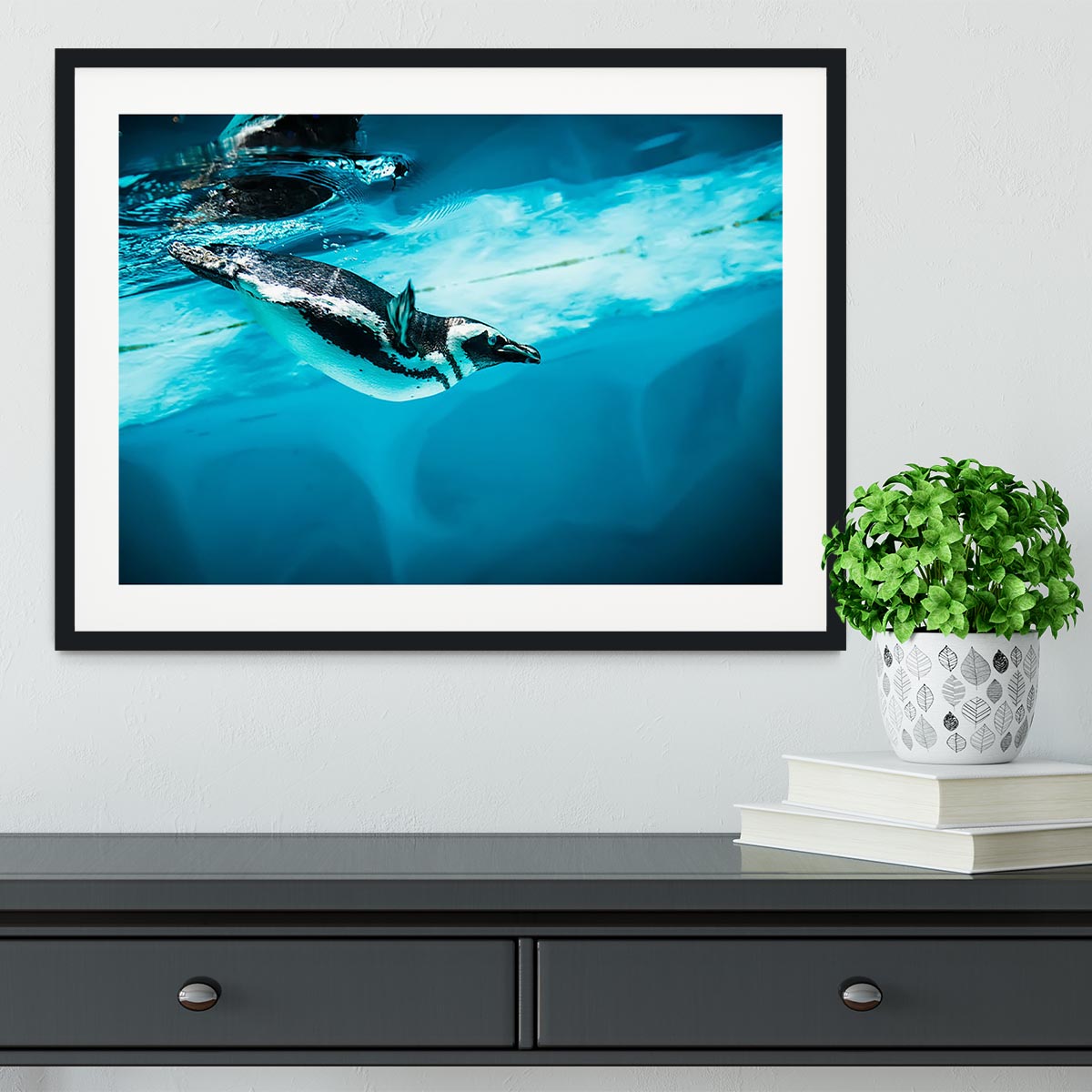 Humboldt Penguin Framed Print - Canvas Art Rocks - 1