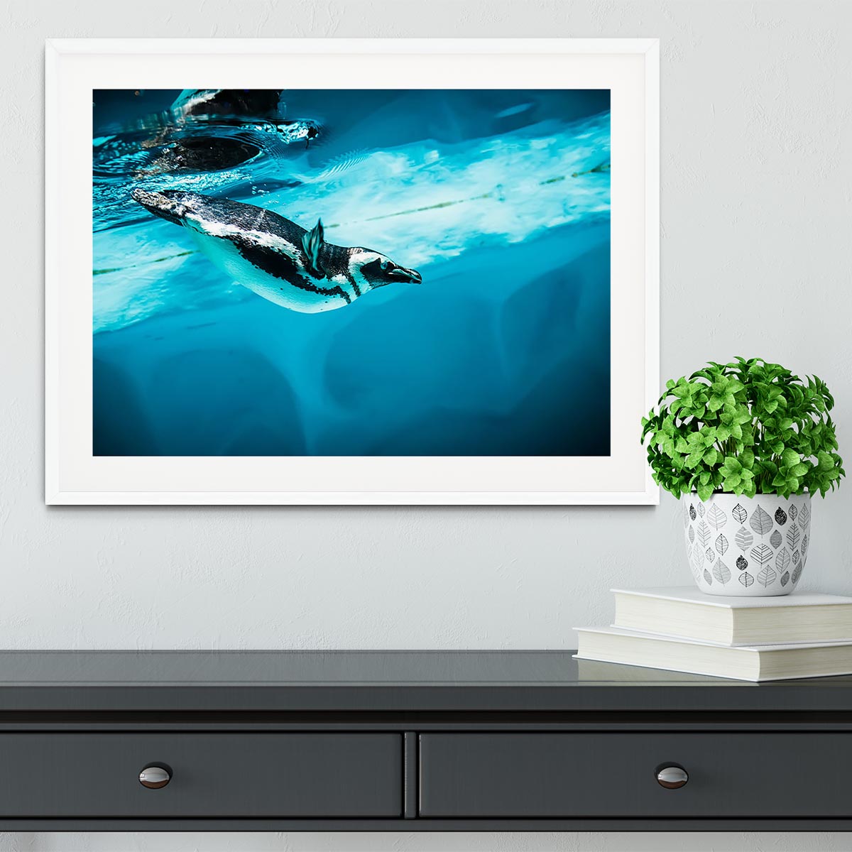 Humboldt Penguin Framed Print - Canvas Art Rocks - 5