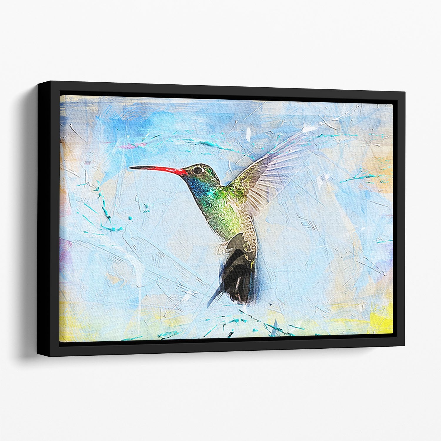 Humming Bird Painting Floating Framed Canvas