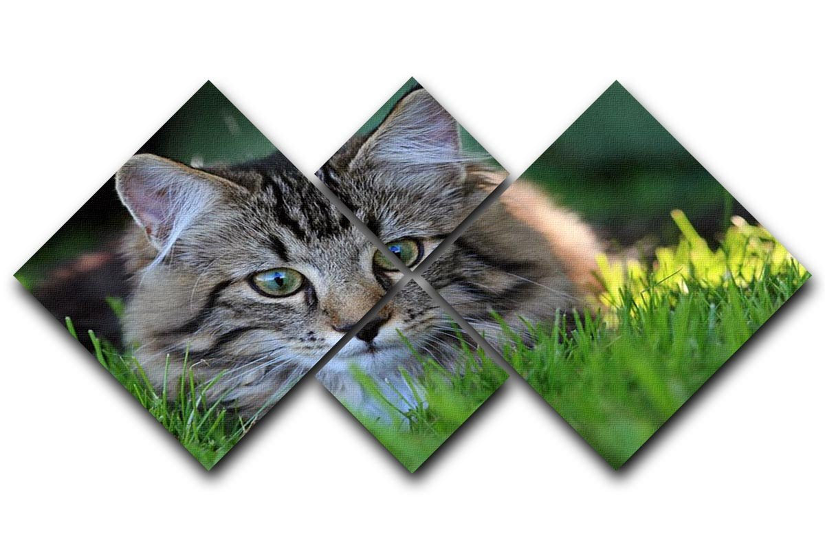 Hunting in the grass 4 Square Multi Panel Canvas - Canvas Art Rocks - 1