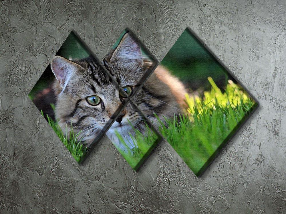 Hunting in the grass 4 Square Multi Panel Canvas - Canvas Art Rocks - 2