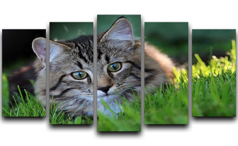 Hunting in the grass 5 Split Panel Canvas - Canvas Art Rocks - 1