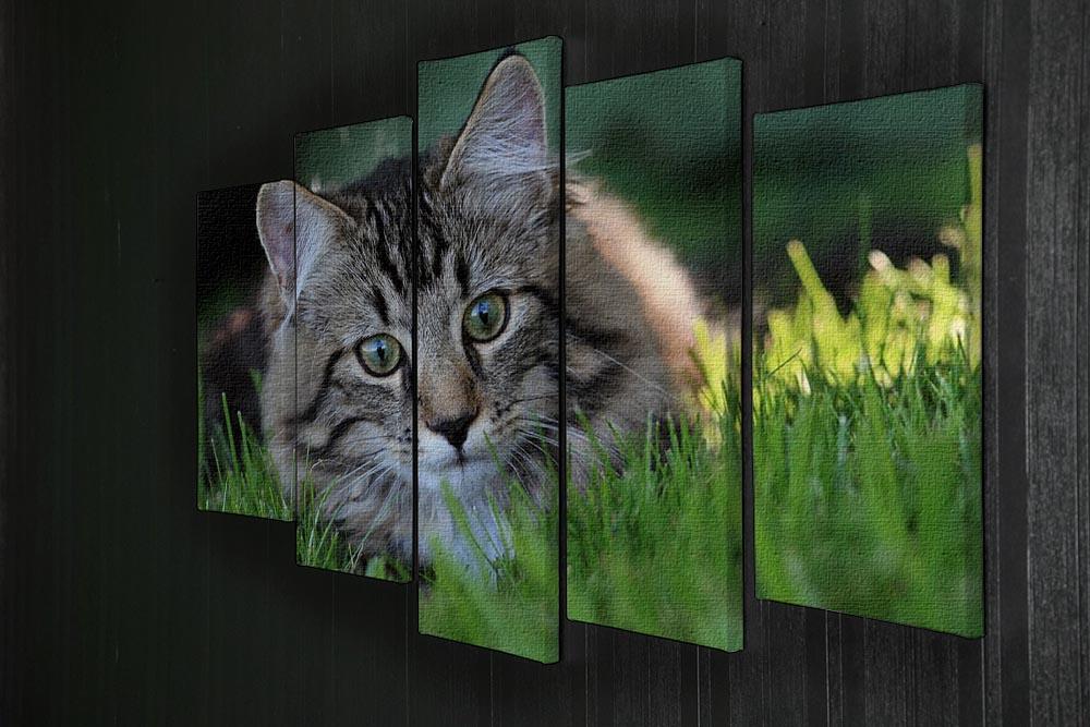 Hunting in the grass 5 Split Panel Canvas - Canvas Art Rocks - 2