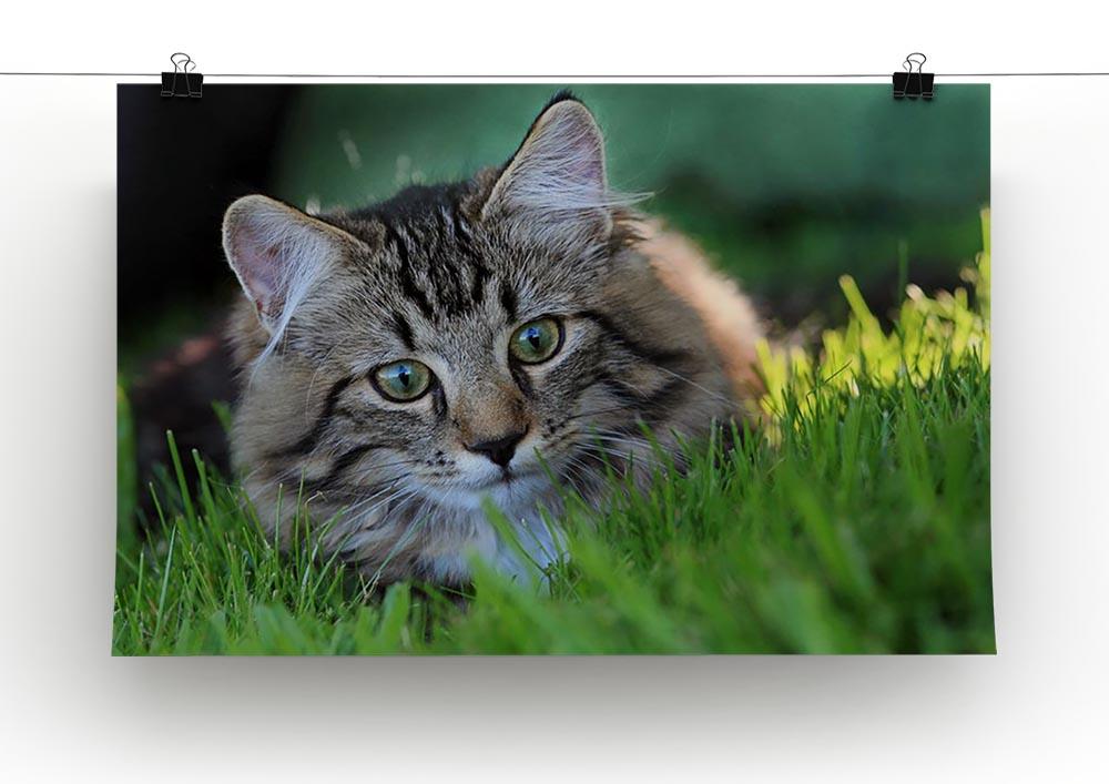 Hunting in the grass Canvas Print or Poster - Canvas Art Rocks - 2