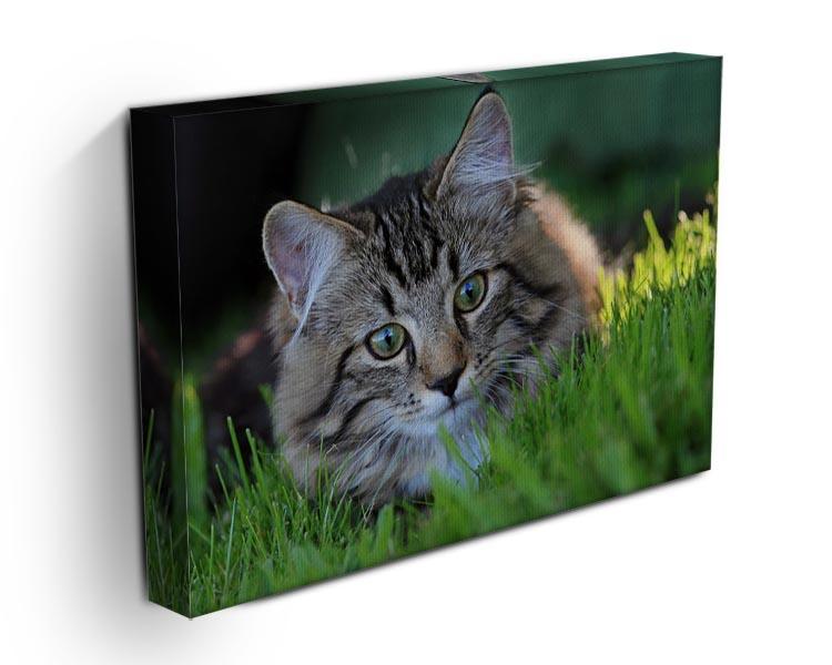 Hunting in the grass Canvas Print or Poster - Canvas Art Rocks - 3