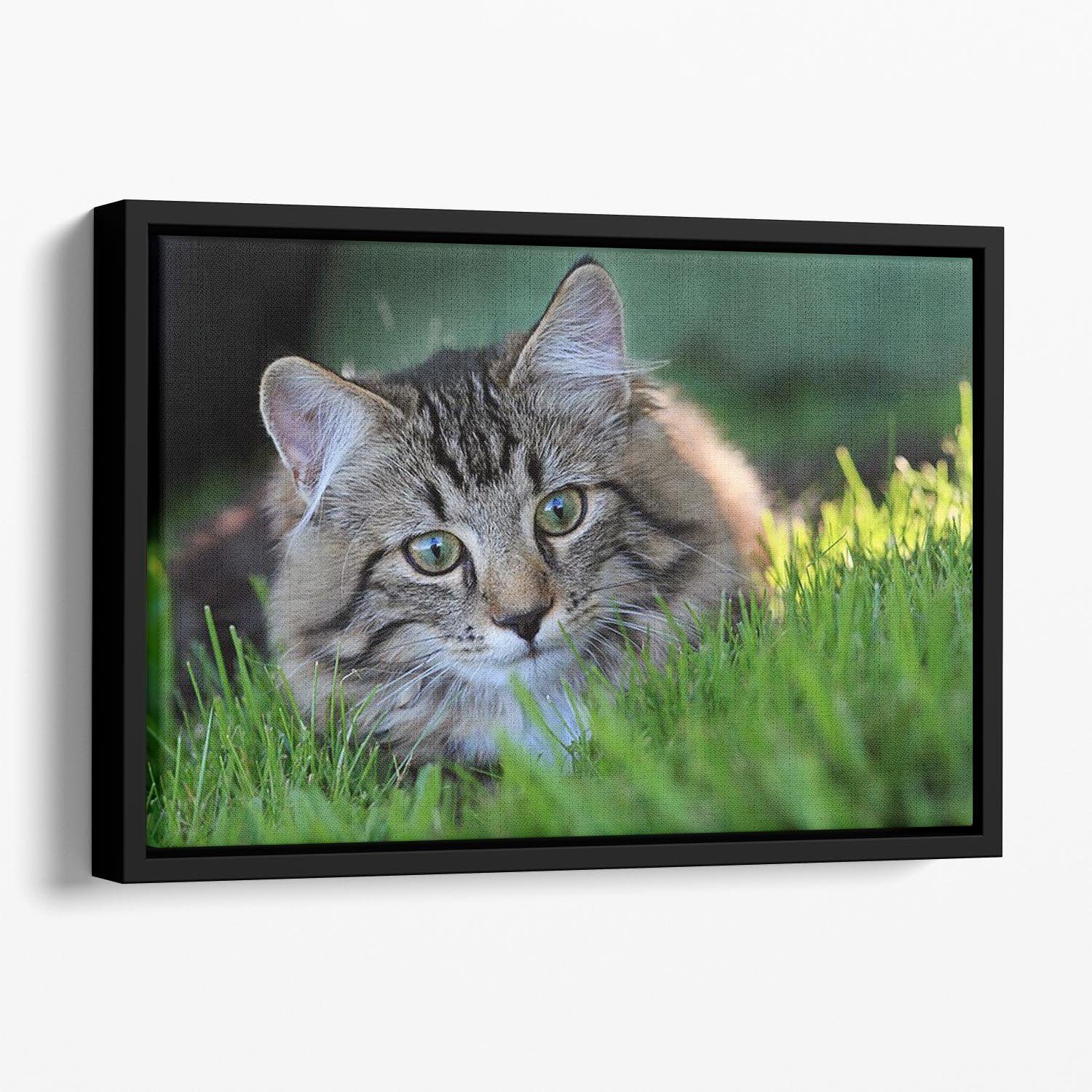Hunting in the grass Floating Framed Canvas - Canvas Art Rocks - 1