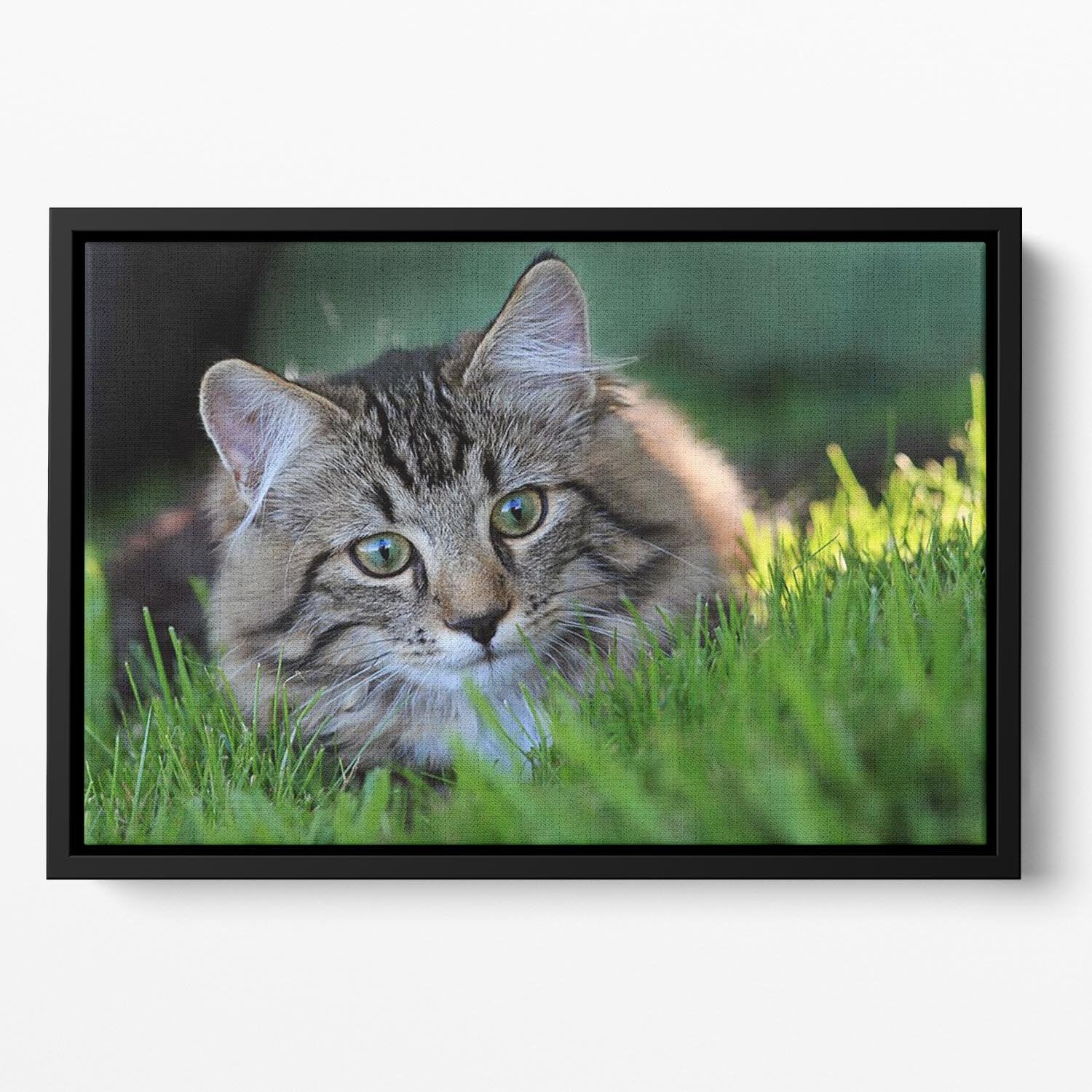 Hunting in the grass Floating Framed Canvas - Canvas Art Rocks - 2