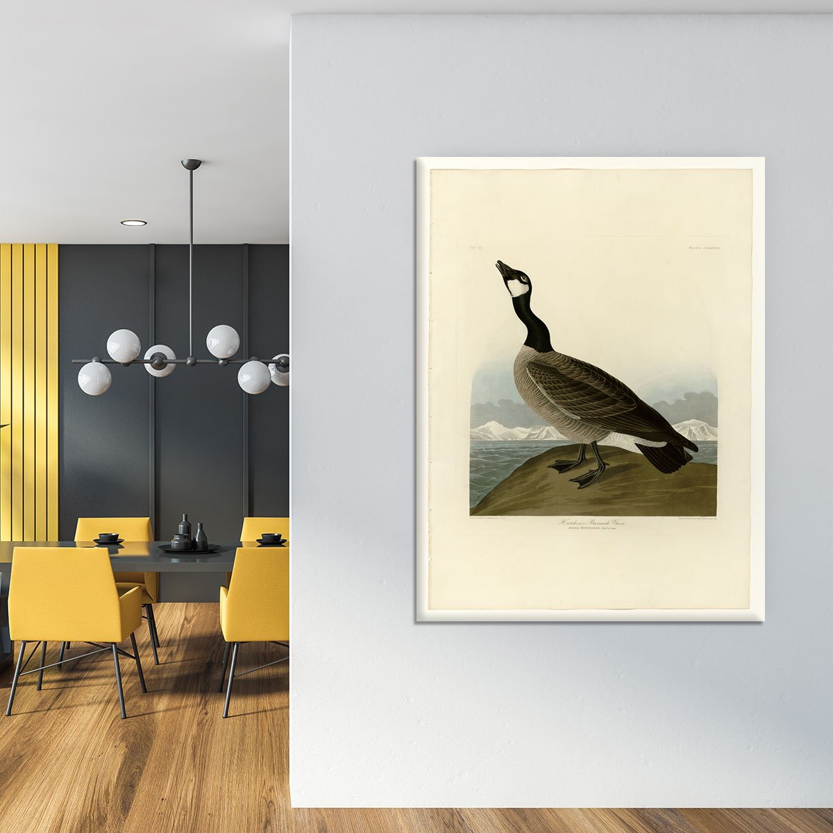 Hutchins Barnacle Goose by Audubon Canvas Print or Poster