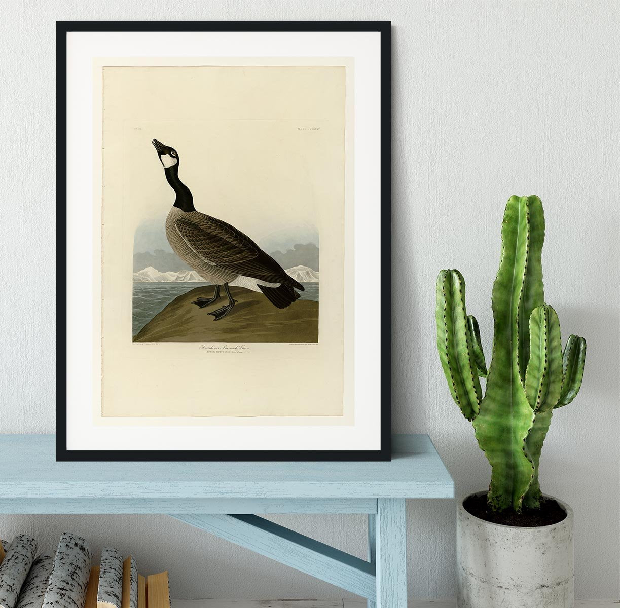 Hutchins Barnacle Goose by Audubon Framed Print - Canvas Art Rocks - 1