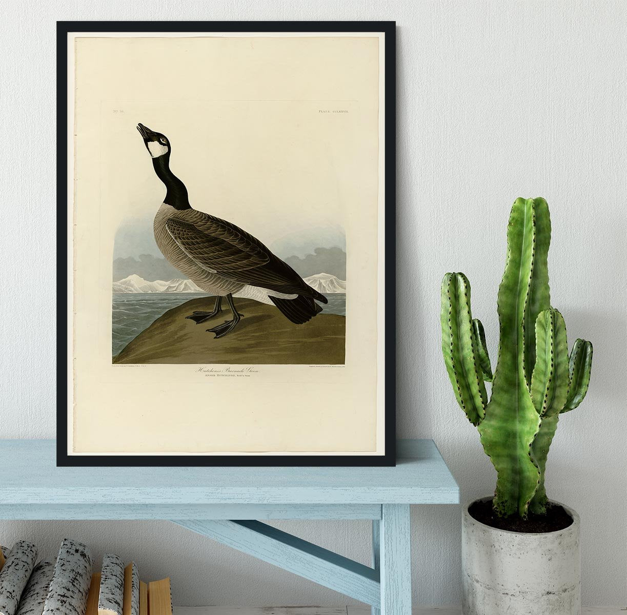 Hutchins Barnacle Goose by Audubon Framed Print - Canvas Art Rocks - 2