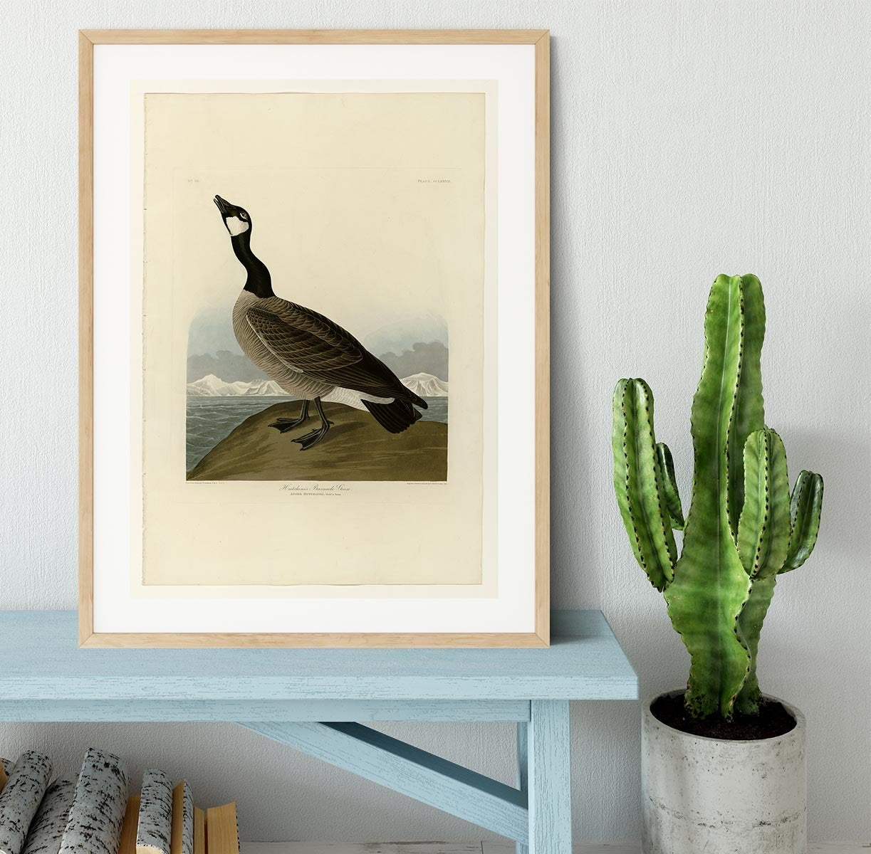 Hutchins Barnacle Goose by Audubon Framed Print - Canvas Art Rocks - 3