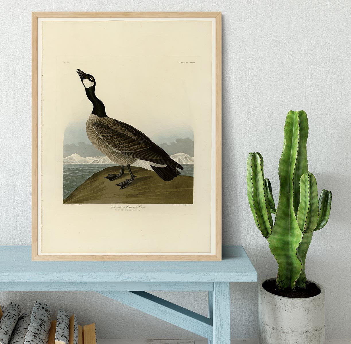 Hutchins Barnacle Goose by Audubon Framed Print - Canvas Art Rocks - 4