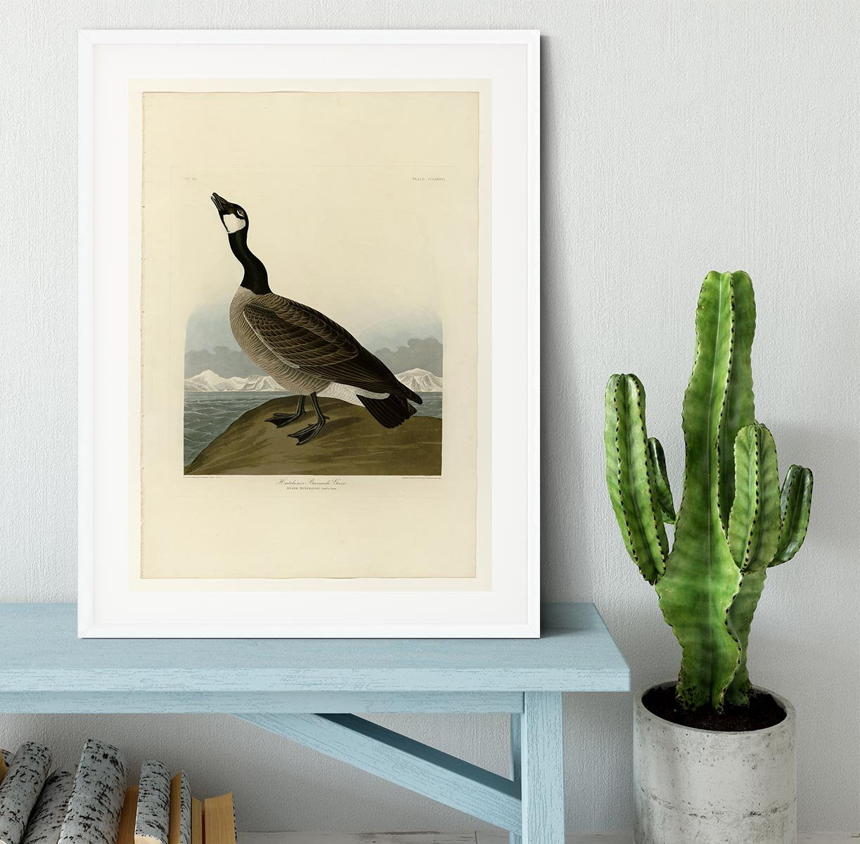 Hutchins Barnacle Goose by Audubon Framed Print - Canvas Art Rocks - 5