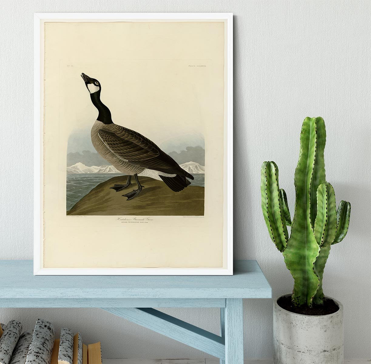 Hutchins Barnacle Goose by Audubon Framed Print - Canvas Art Rocks -6