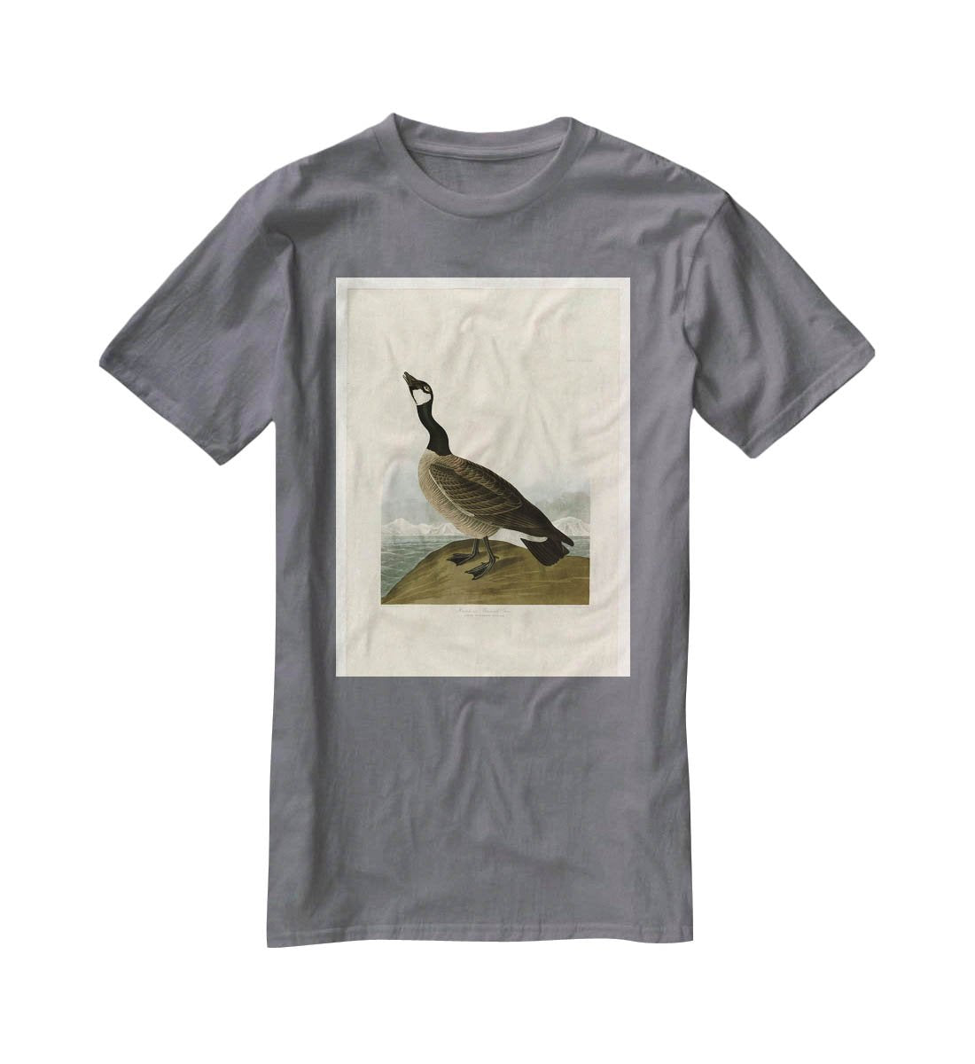 Hutchins Barnacle Goose by Audubon T-Shirt - Canvas Art Rocks - 3