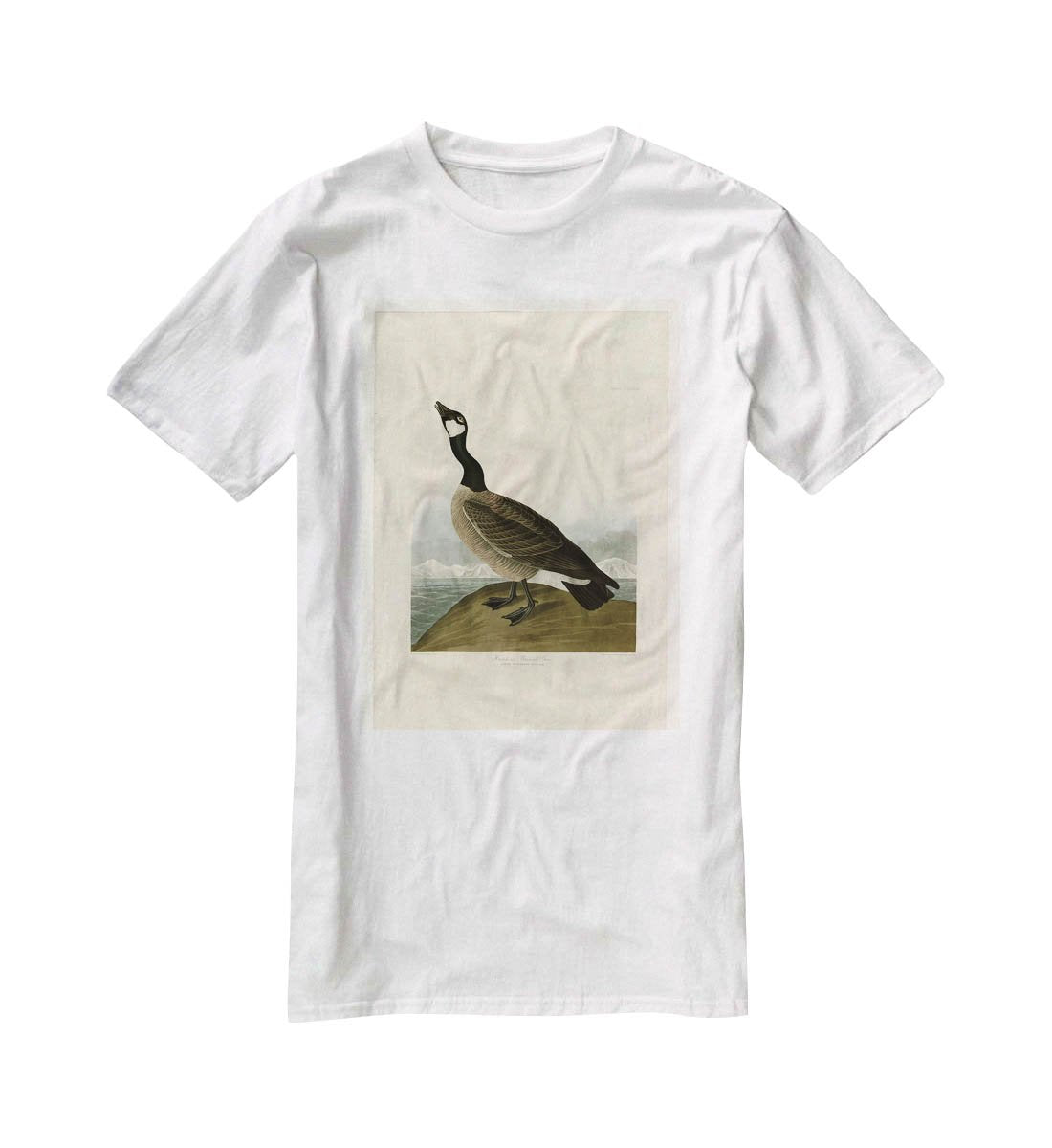 Hutchins Barnacle Goose by Audubon T-Shirt - Canvas Art Rocks - 5