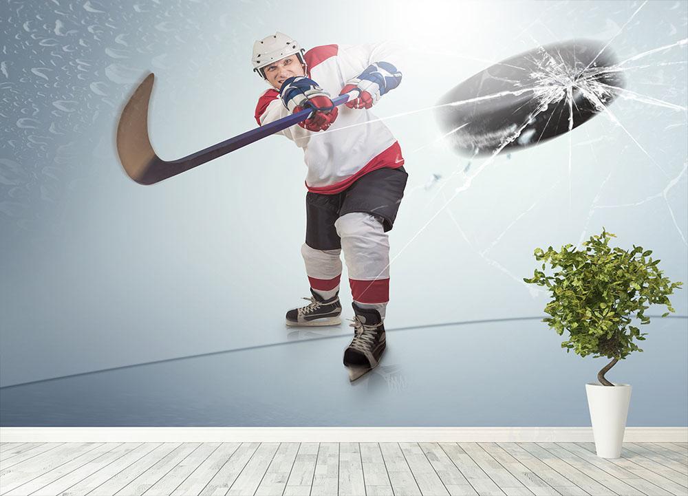 hockey puck wallpaper