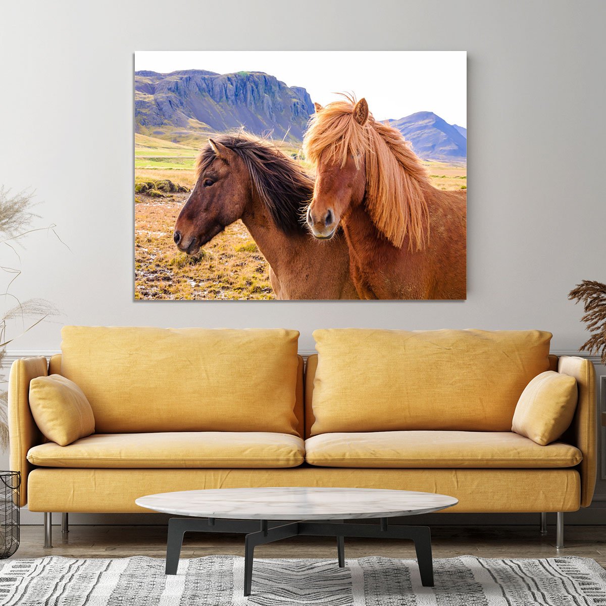 Icelandic Horses Canvas Print or Poster