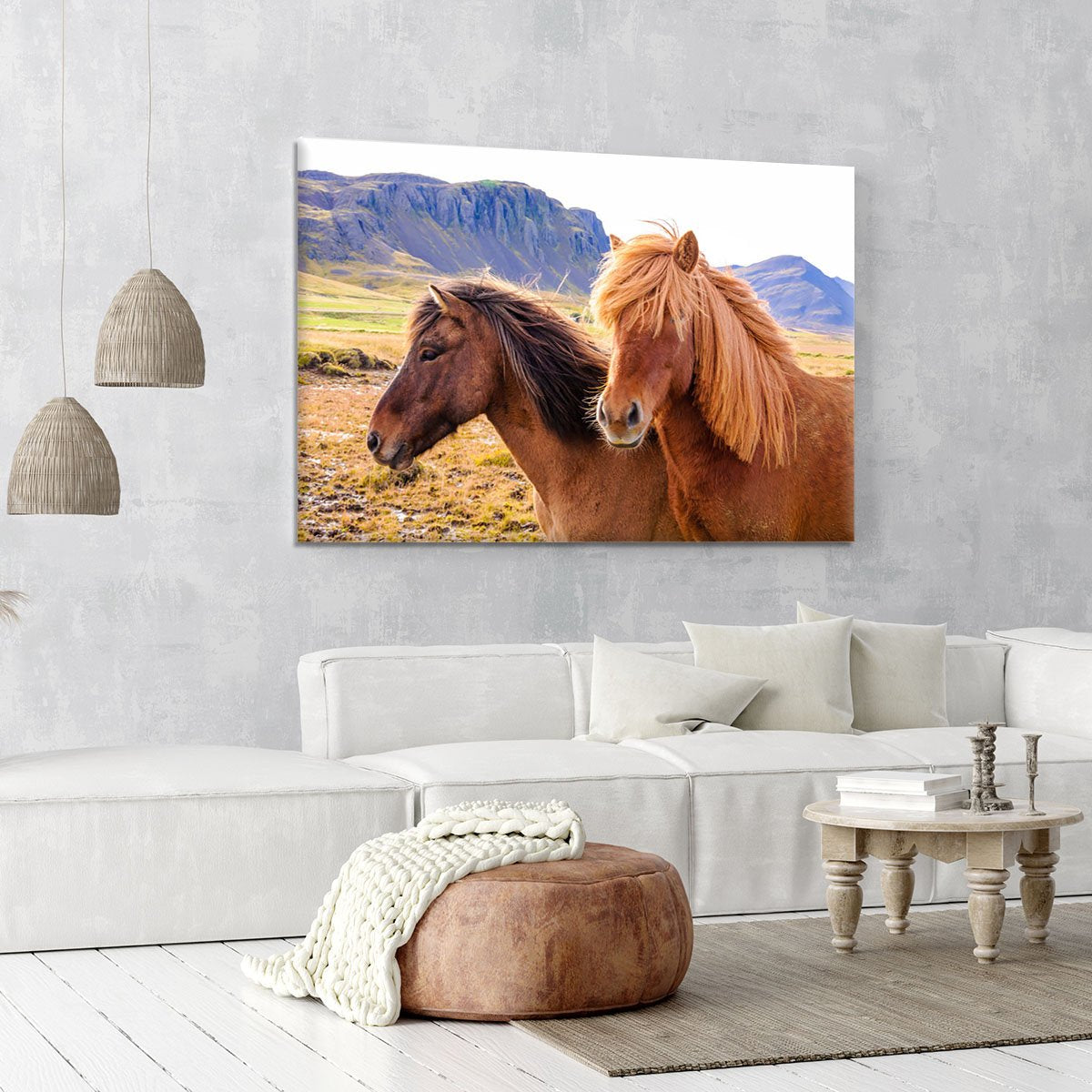 Icelandic Horses Canvas Print or Poster