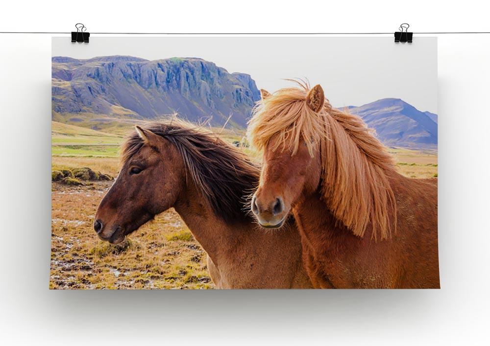 Icelandic horses Canvas Print or Poster - Canvas Art Rocks - 2
