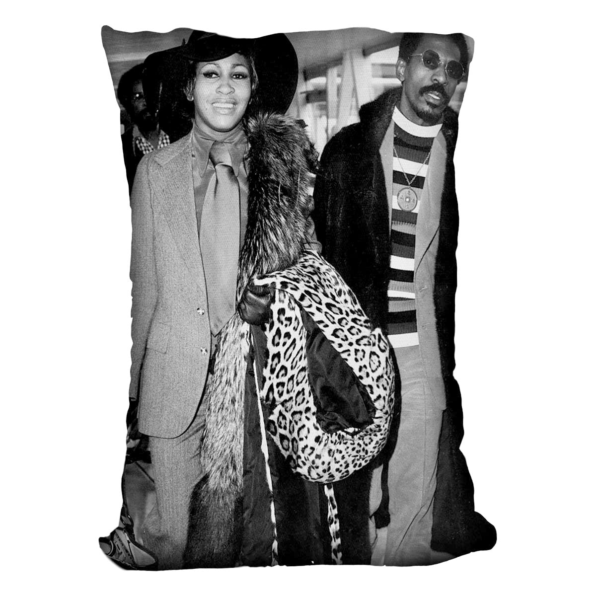 Ike and Tina Cushion