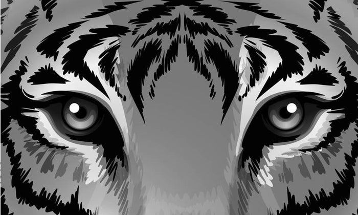 Illustration of a tiger with sharp eyes Wall Mural Wallpaper
