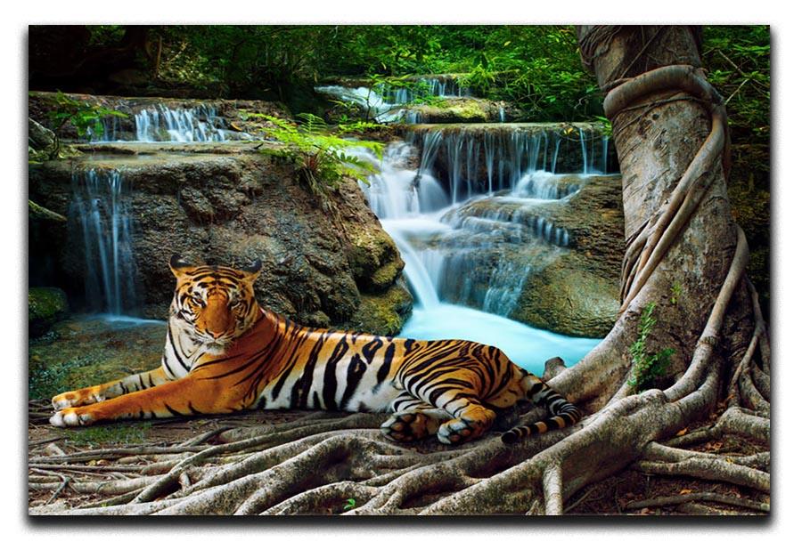 Indochina tiger Canvas Print or Poster - Canvas Art Rocks - 1