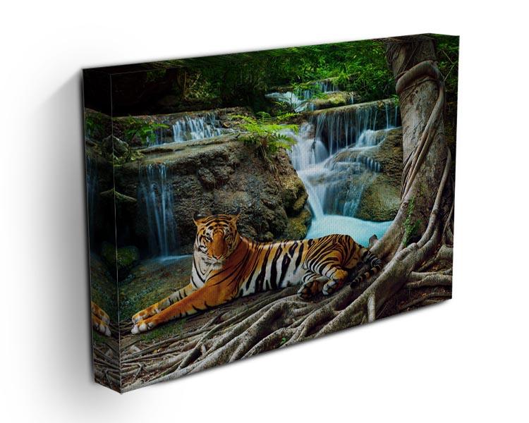 Indochina tiger Canvas Print or Poster - Canvas Art Rocks - 3