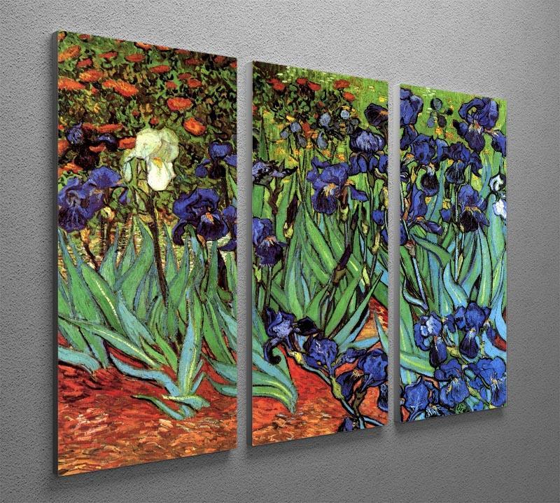 Irises 2 by Van Gogh 3 Split Panel Canvas Print - Canvas Art Rocks - 4