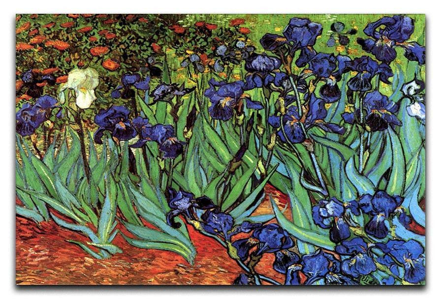 Irises 2 by Van Gogh Canvas Print & Poster  - Canvas Art Rocks - 1