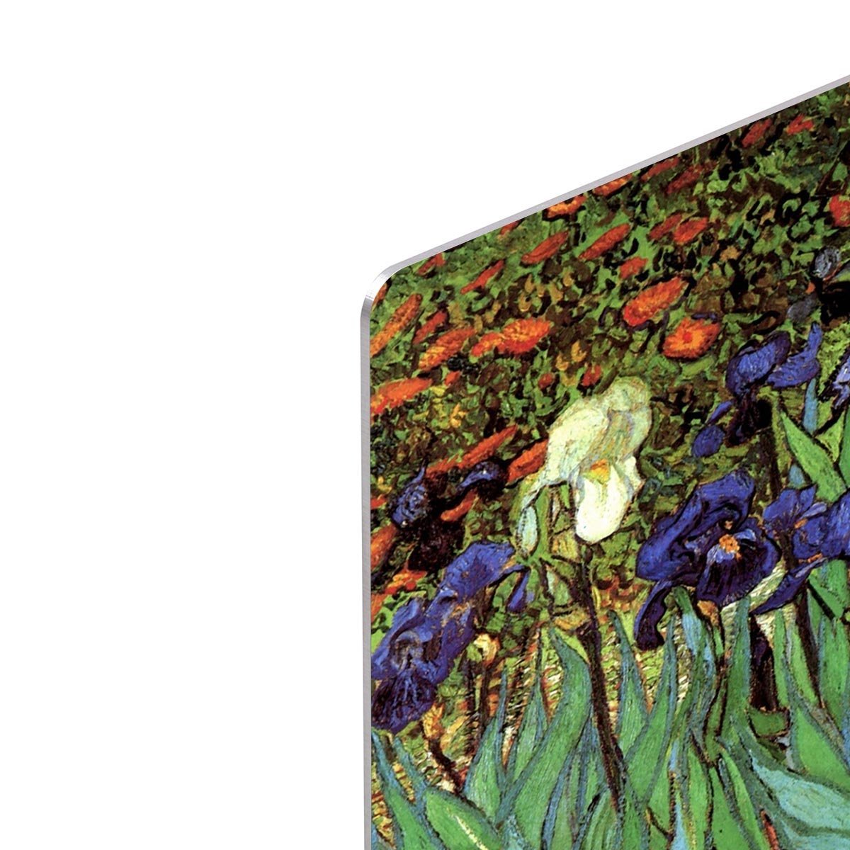 Irises 2 by Van Gogh HD Metal Print