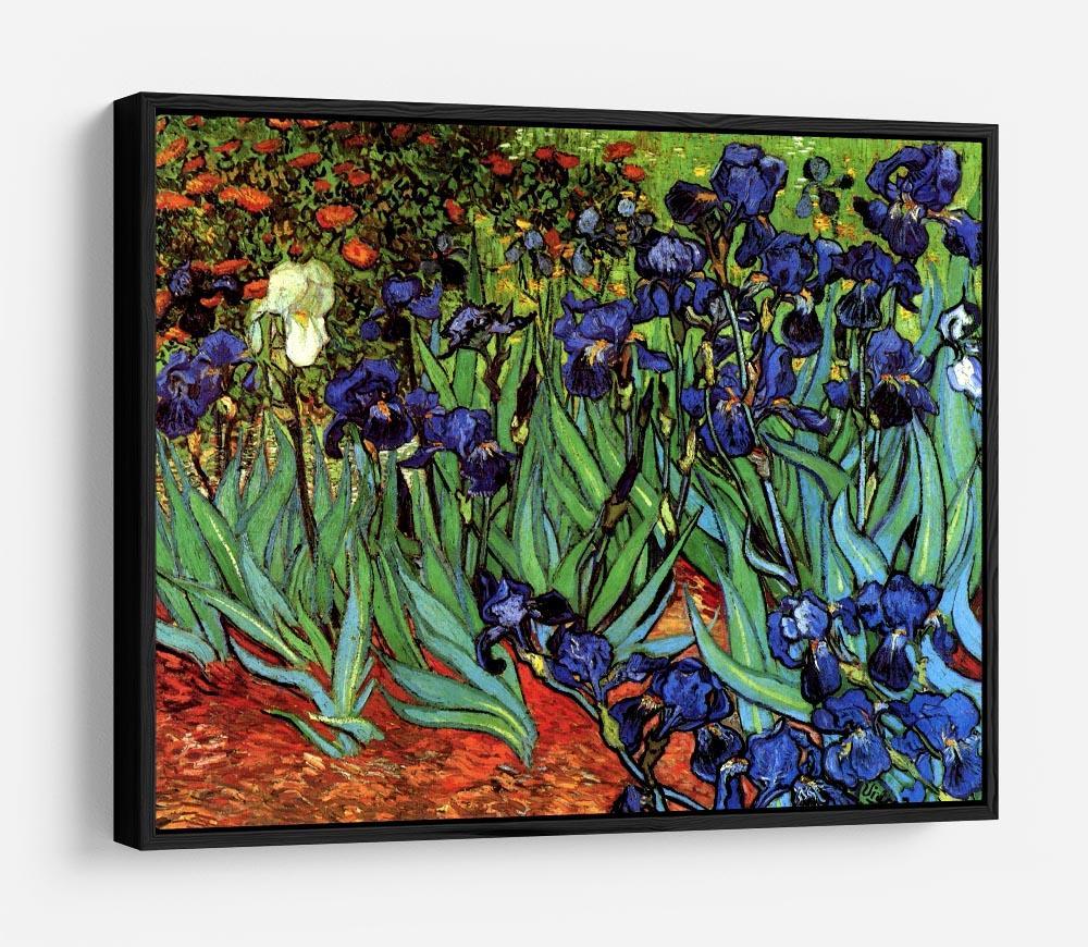 Irises 2 by Van Gogh HD Metal Print