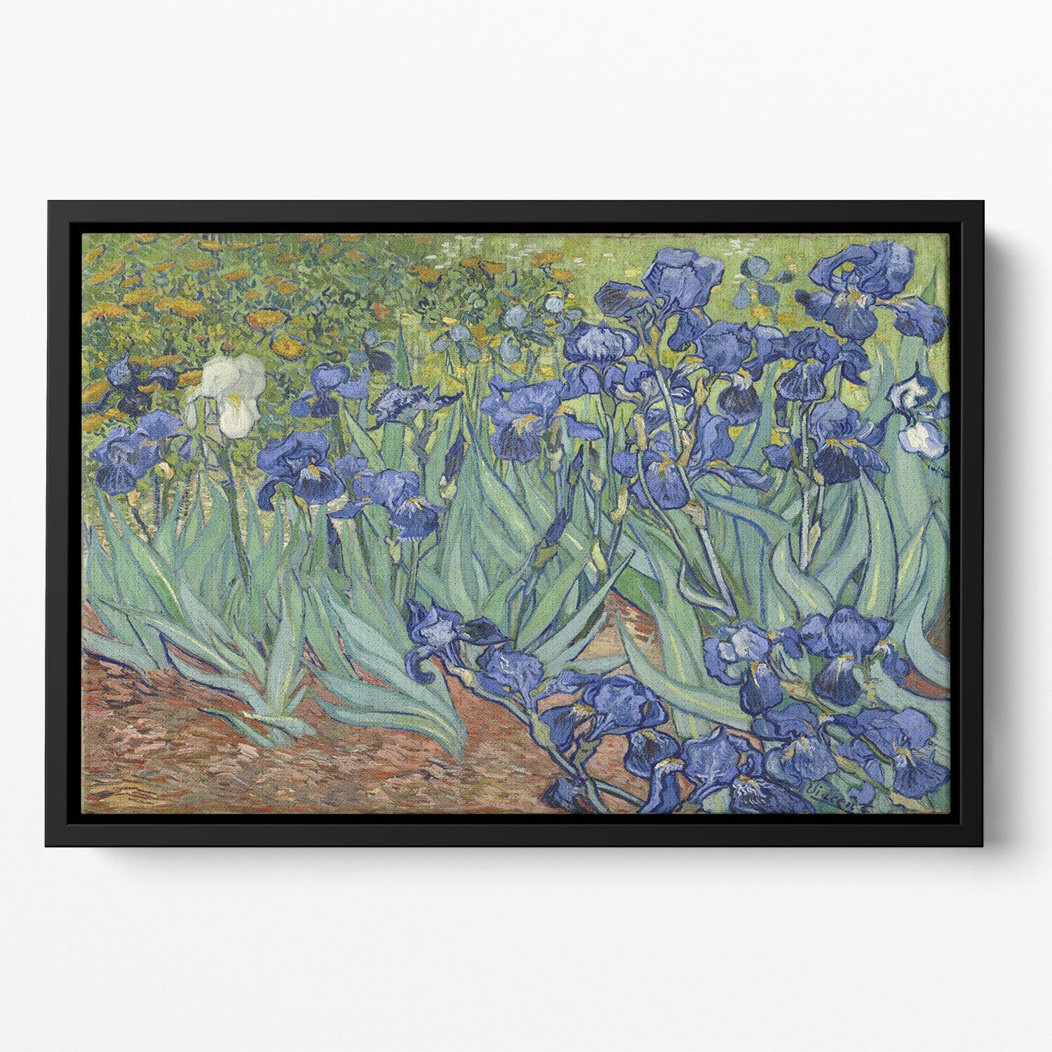 Irises by Van Gogh Floating Framed Canvas