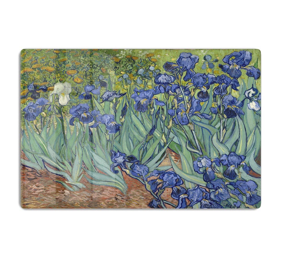 Irises by Van Gogh HD Metal Print