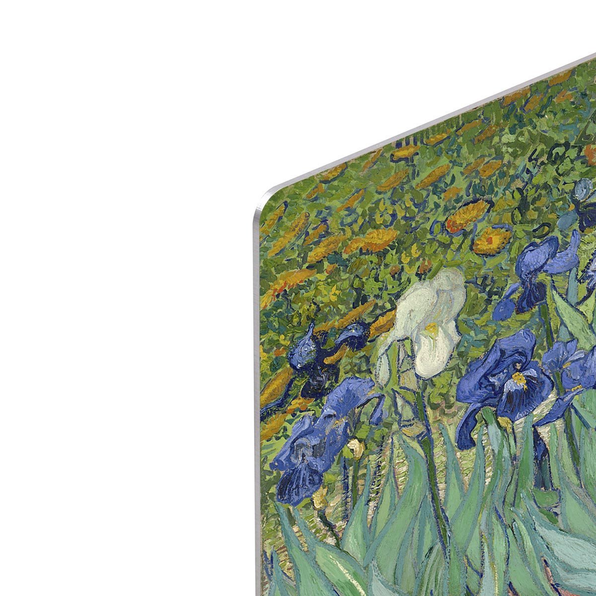 Irises by Van Gogh HD Metal Print
