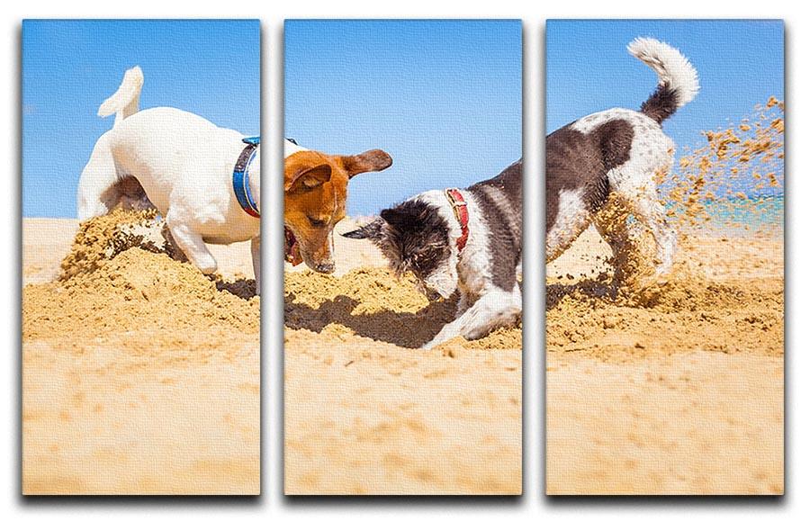 Jack russell couple of dogs digging a hole 3 Split Panel Canvas Print - Canvas Art Rocks - 1