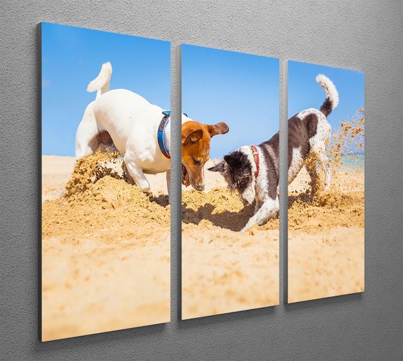 Jack russell couple of dogs digging a hole 3 Split Panel Canvas Print - Canvas Art Rocks - 2