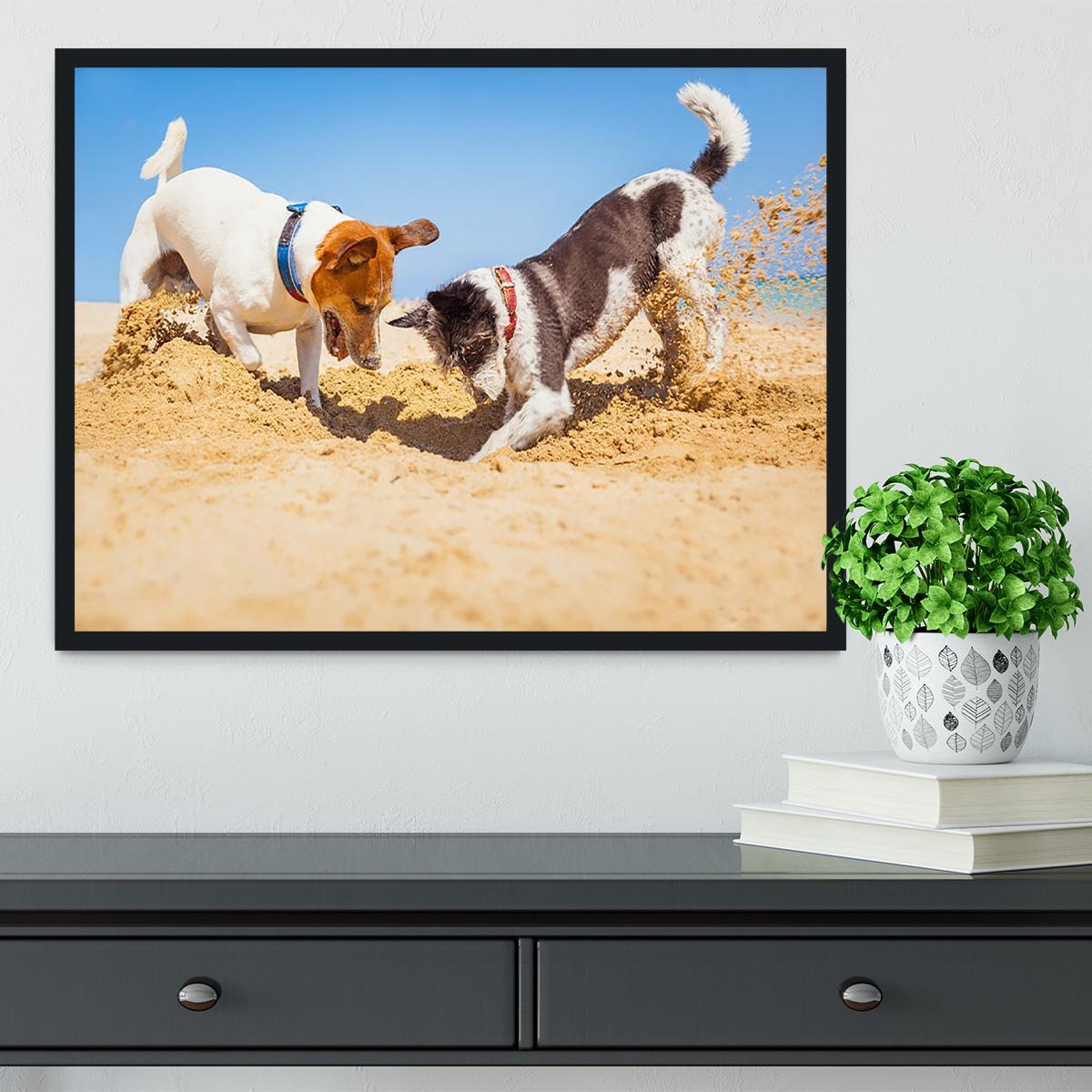 Jack russell couple of dogs digging a hole Framed Print - Canvas Art Rocks - 2