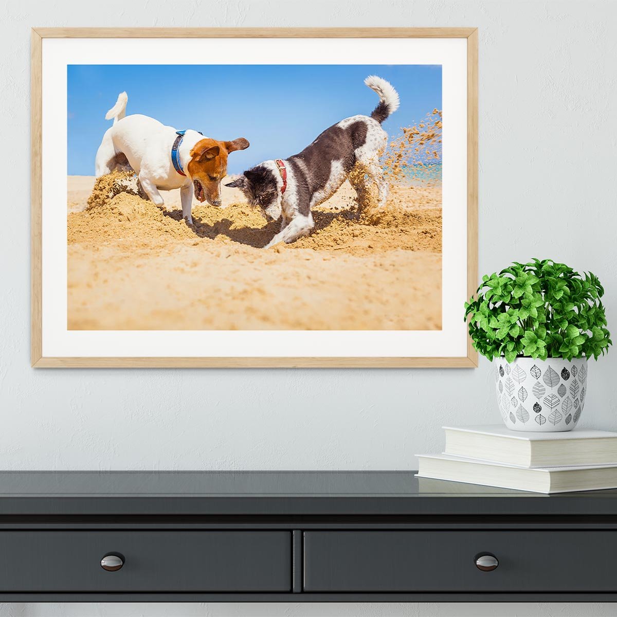 Jack russell couple of dogs digging a hole Framed Print - Canvas Art Rocks - 3