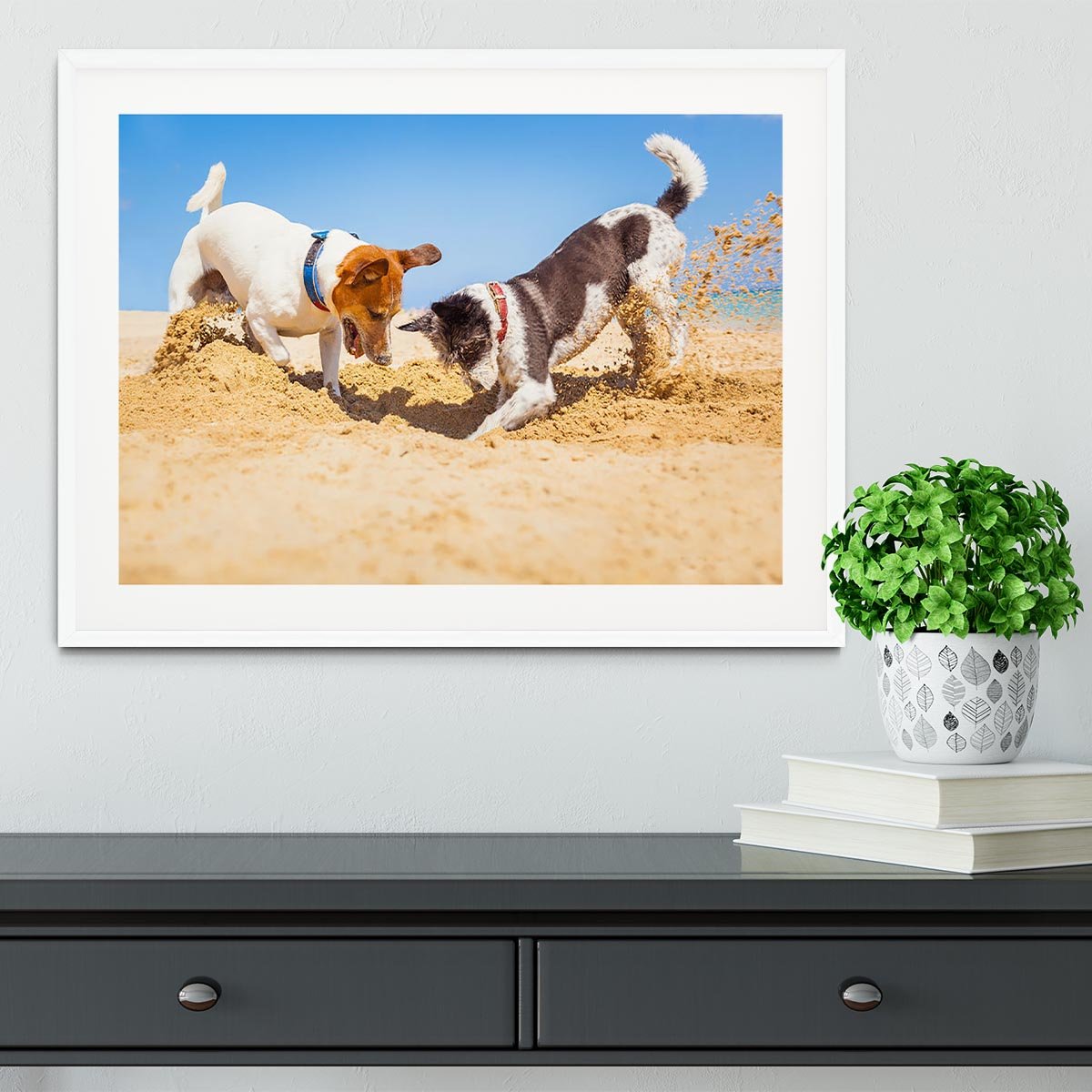 Jack russell couple of dogs digging a hole Framed Print - Canvas Art Rocks - 5