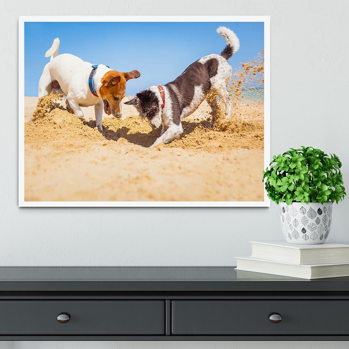 Jack russell couple of dogs digging a hole Framed Print - Canvas Art Rocks -6