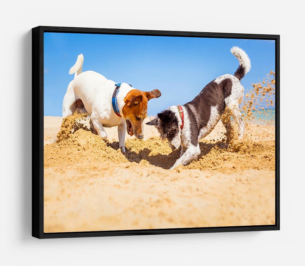 Jack russell couple of dogs digging a hole HD Metal Print - Canvas Art Rocks - 6