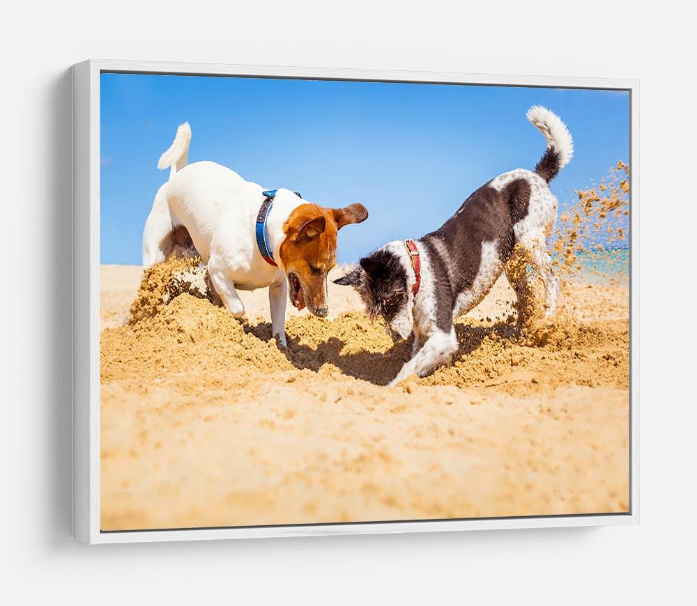 Jack russell couple of dogs digging a hole HD Metal Print - Canvas Art Rocks - 7