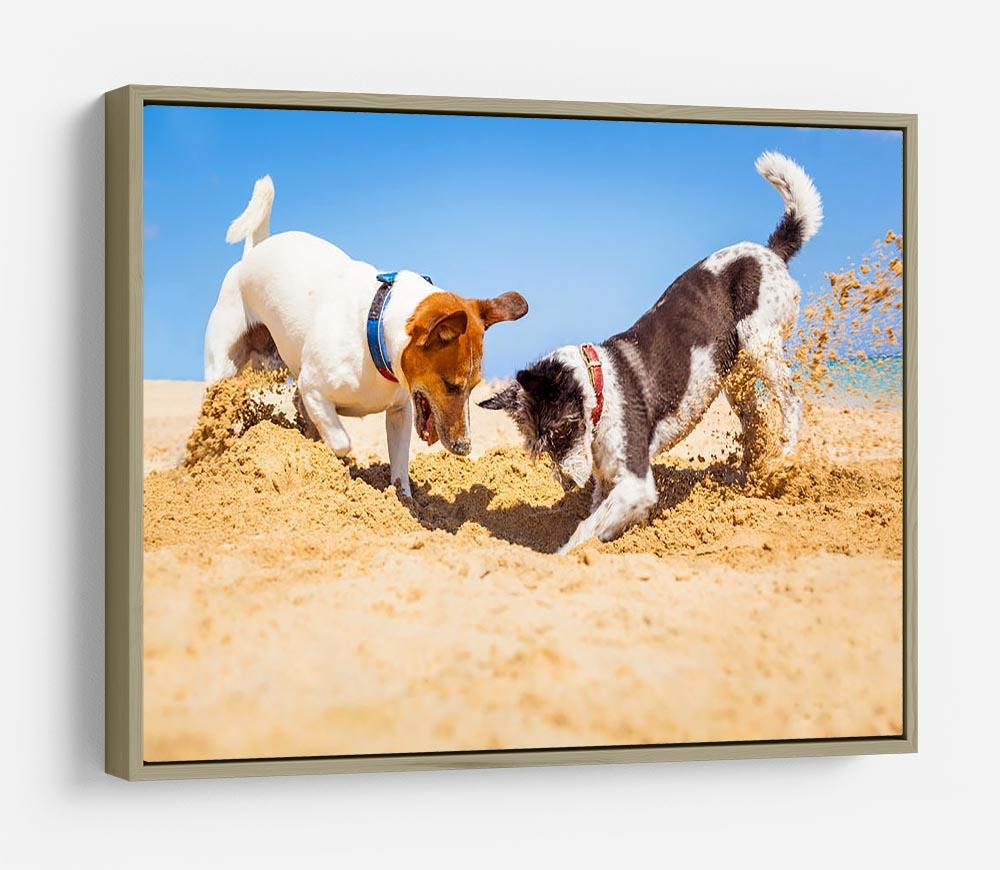 Jack russell couple of dogs digging a hole HD Metal Print - Canvas Art Rocks - 8