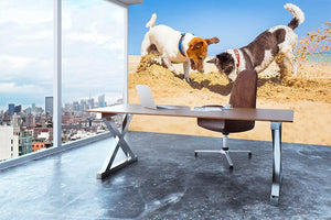 Jack russell couple of dogs digging a hole Wall Mural Wallpaper - Canvas Art Rocks - 3