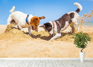 Jack russell couple of dogs digging a hole Wall Mural Wallpaper - Canvas Art Rocks - 4