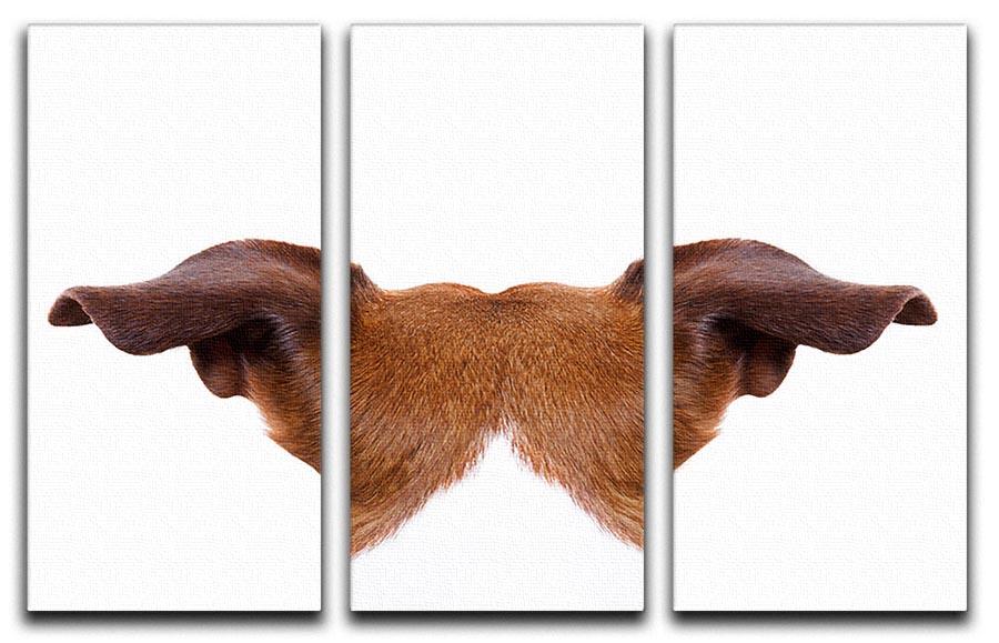 Jack russell dog looking and staring 3 Split Panel Canvas Print - Canvas Art Rocks - 1
