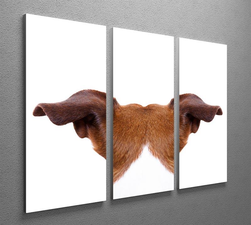 Jack russell dog looking and staring 3 Split Panel Canvas Print - Canvas Art Rocks - 2